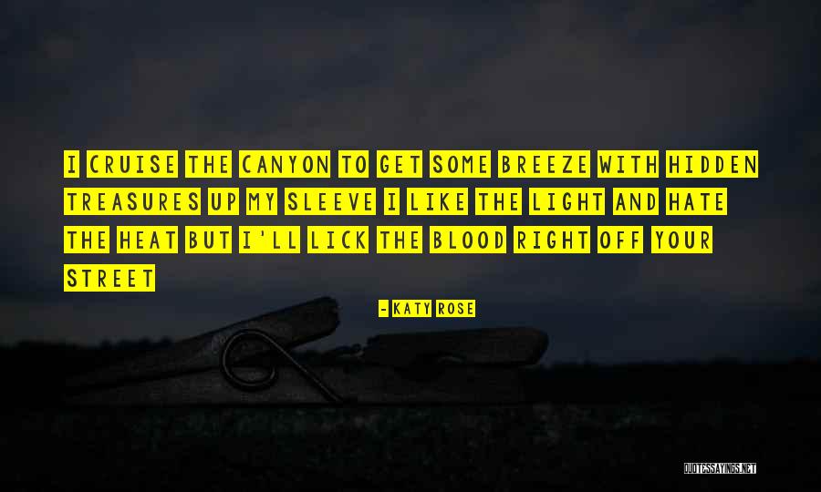 Heat And Light Quotes By Katy Rose Heat And Light Quotes By Katy Rose