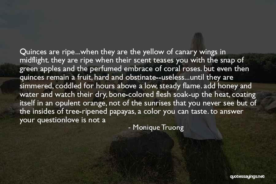 Heat The Book Quotes By Monique Truong Heat The Book Quotes By Monique Truong