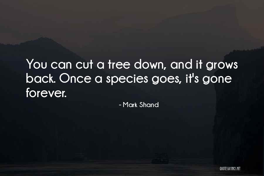 Heathenish Amara Quotes By Mark Shand Heathenish Amara Quotes By Mark Shand