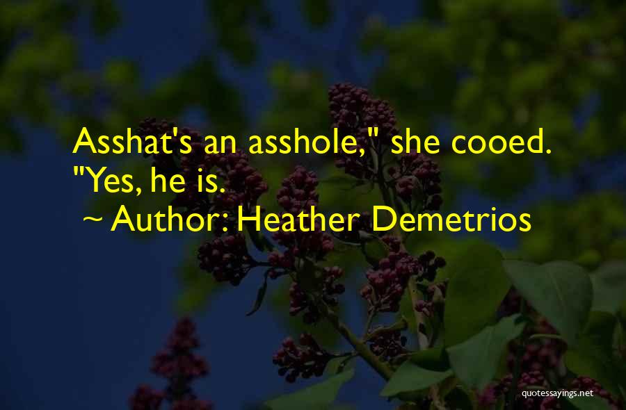 Heather Demetrios Quotes 160232