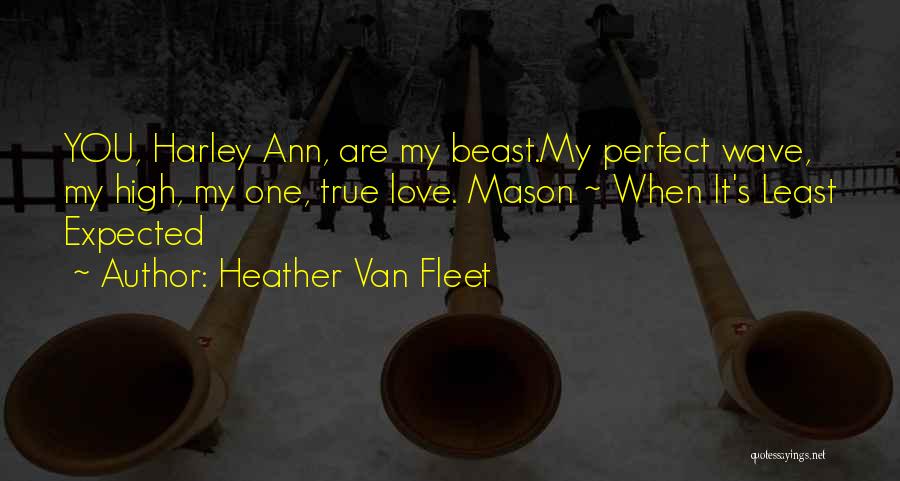 Heather Mason Quotes By Heather Van Fleet