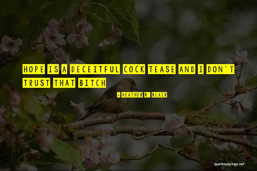 Heather R. Blair Quotes 747452