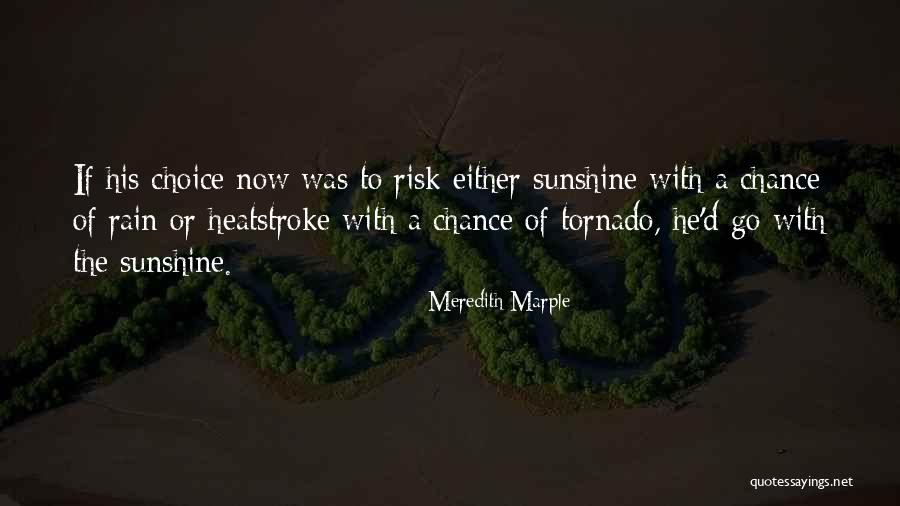 Heatstroke Quotes By Meredith Marple Heatstroke Quotes By Meredith Marple