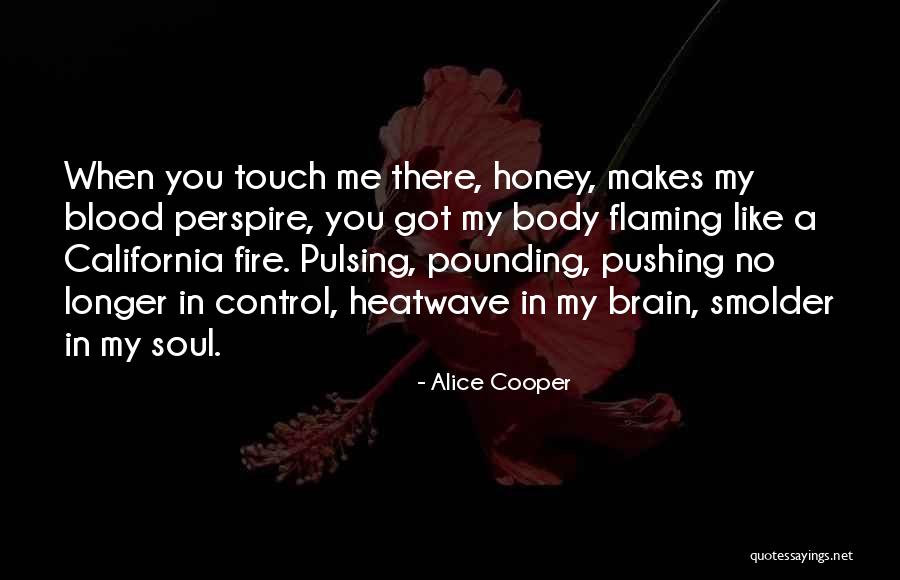 Heatwave Quotes By Alice Cooper