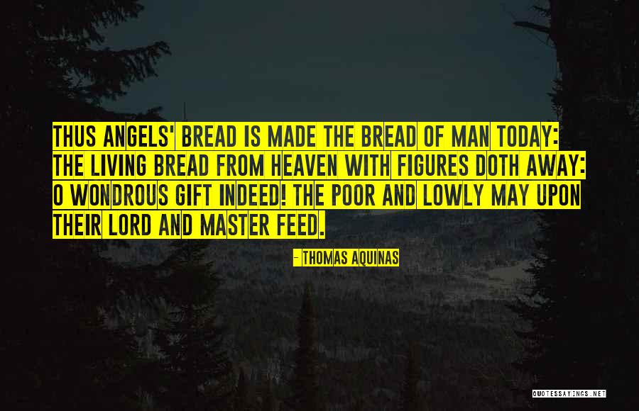 Heaven And Angel Quotes By Thomas Aquinas Heaven And Angel Quotes By Thomas Aquinas