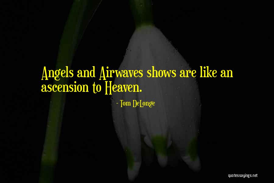 Heaven And Angel Quotes By Tom DeLonge Heaven And Angel Quotes By Tom DeLonge