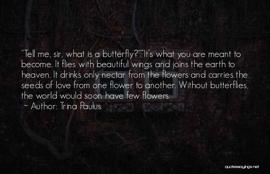 Heaven And Butterfly Quotes By Trina Paulus