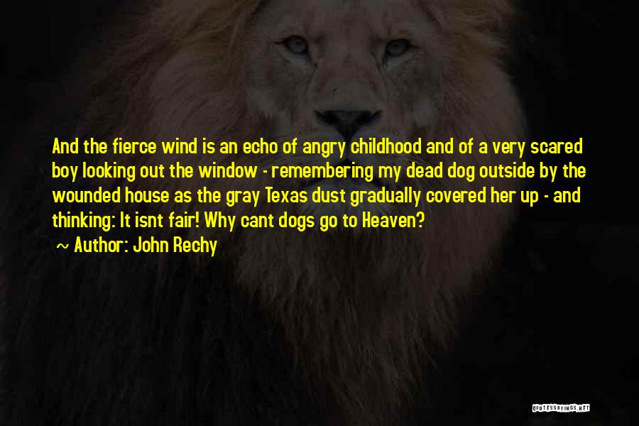 Heaven And Dogs Quotes By John Rechy