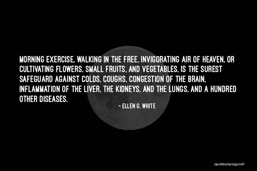 Heaven And Flowers Quotes By Ellen G. White