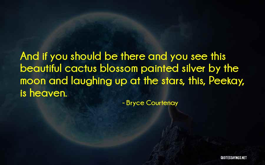 Heaven And Nature Quotes By Bryce Courtenay