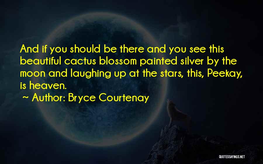 Heaven And The Stars Quotes By Bryce Courtenay