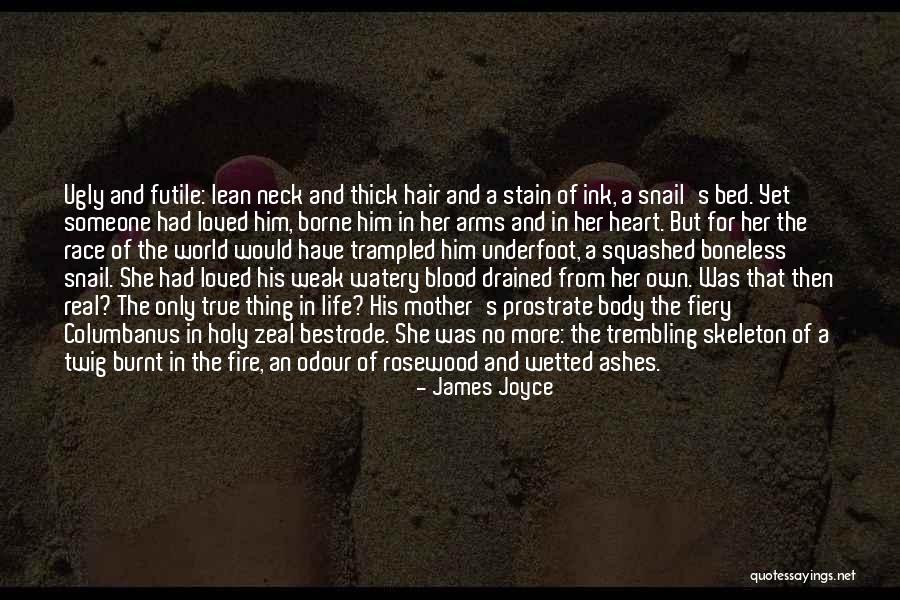 Heaven For Real Quotes By James Joyce Heaven For Real Quotes By James Joyce