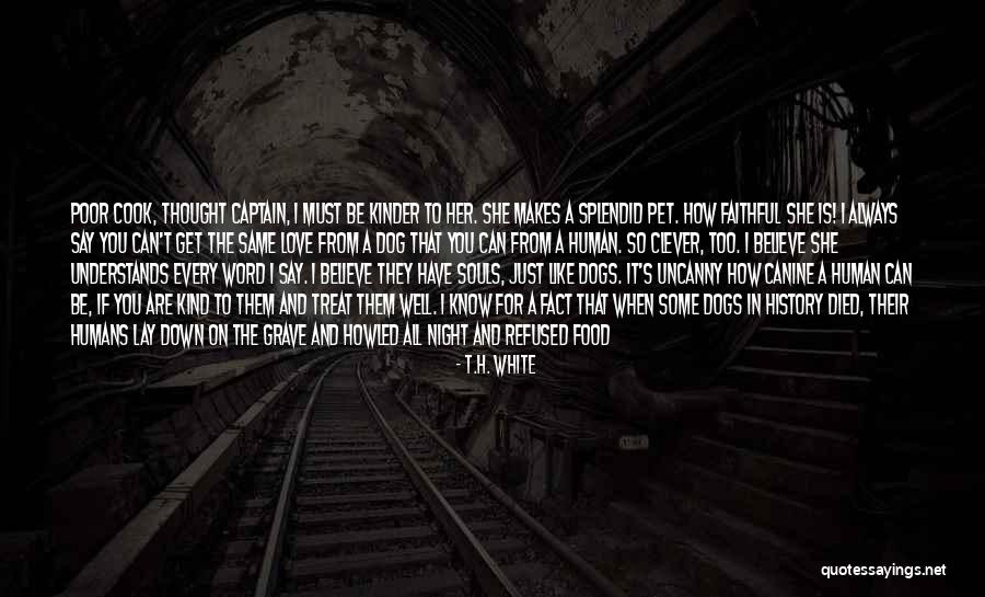 Heaven For Real Quotes By T.H. White Heaven For Real Quotes By T.H. White
