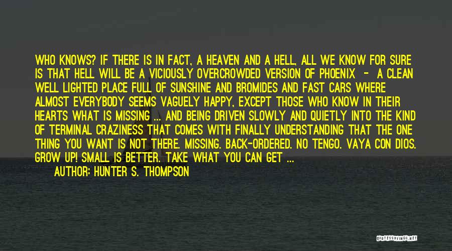 Heaven Is A Better Place Quotes By Hunter S. Thompson