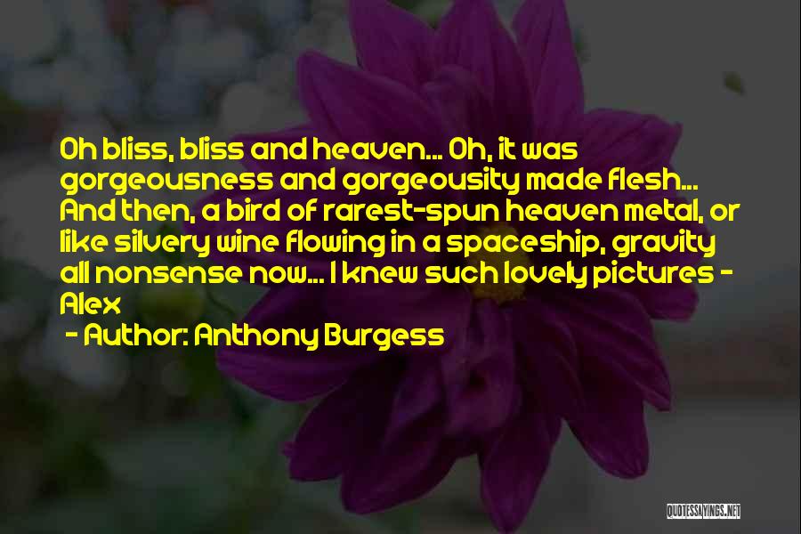 Heaven Pictures With Quotes By Anthony Burgess