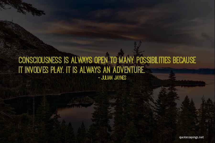 Heaven The Adventure Quotes By Julian Jaynes Heaven The Adventure Quotes By Julian Jaynes