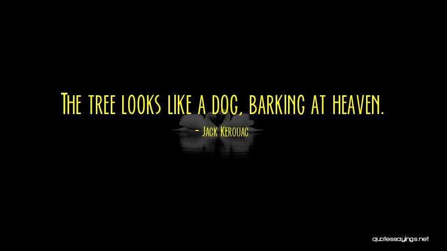Heaven Tree Quotes By Jack Kerouac Heaven Tree Quotes By Jack Kerouac