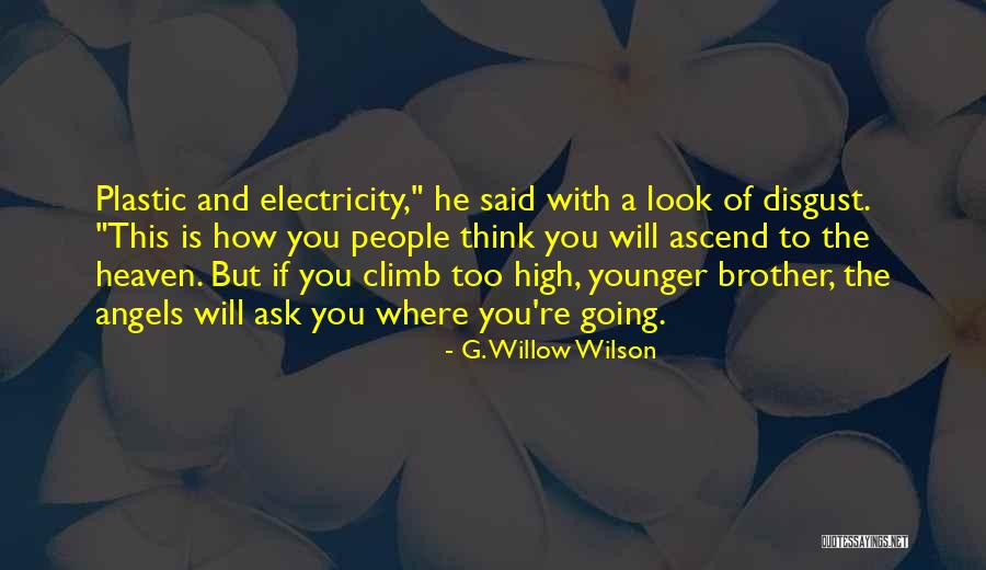 Heaven Where Angels Quotes By G. Willow Wilson Heaven Where Angels Quotes By G. Willow Wilson