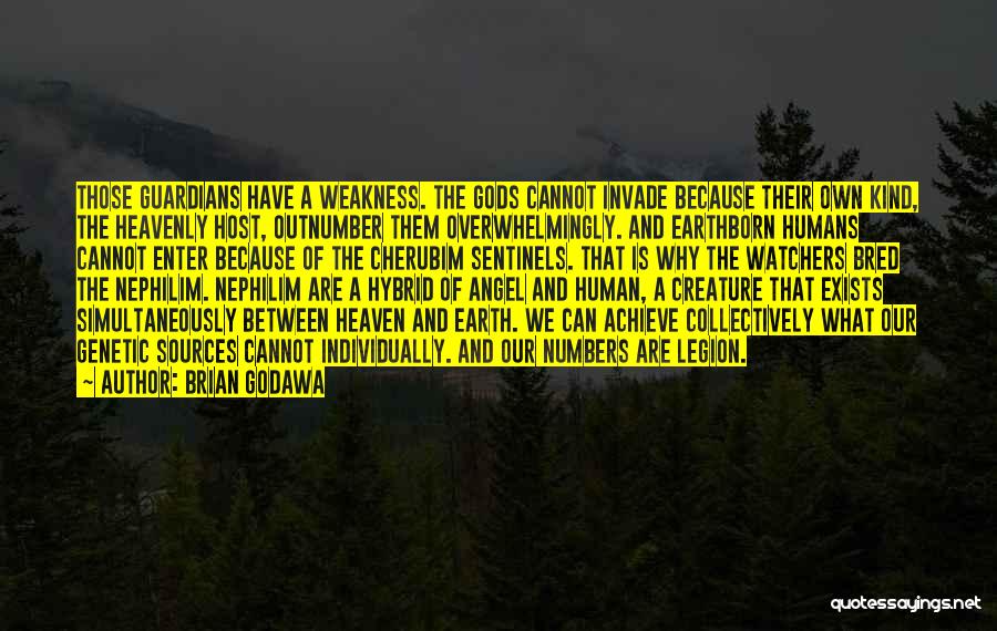 Heavenly Creature Quotes By Brian Godawa