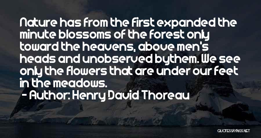 Heavens Above Quotes By Henry David Thoreau