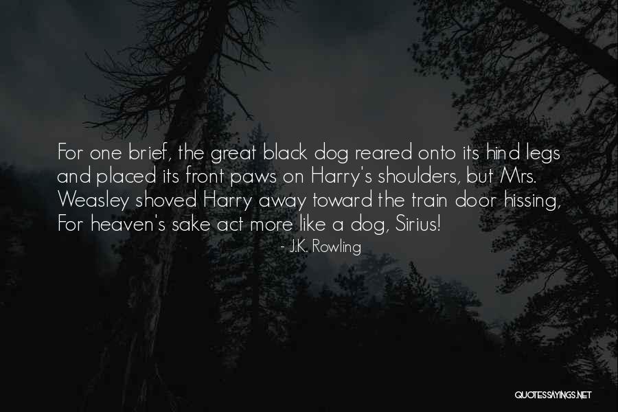 Heaven's Door Quotes By J.K. Rowling