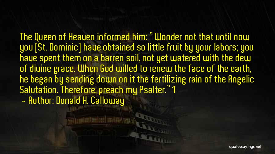 Heaven's Rain Quotes By Donald H. Calloway