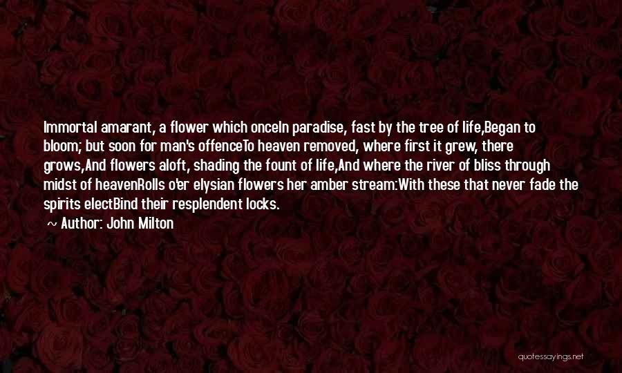 Heaven's Tree Quotes By John Milton