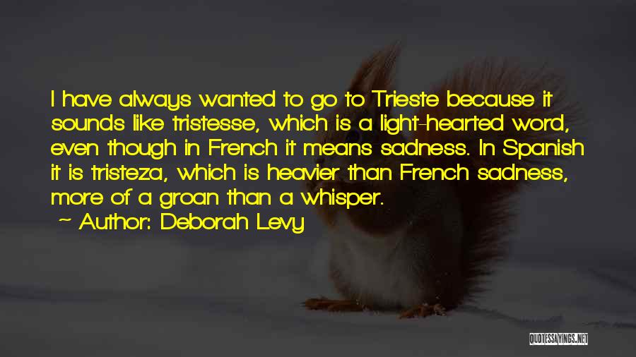 Heavier Than Quotes By Deborah Levy