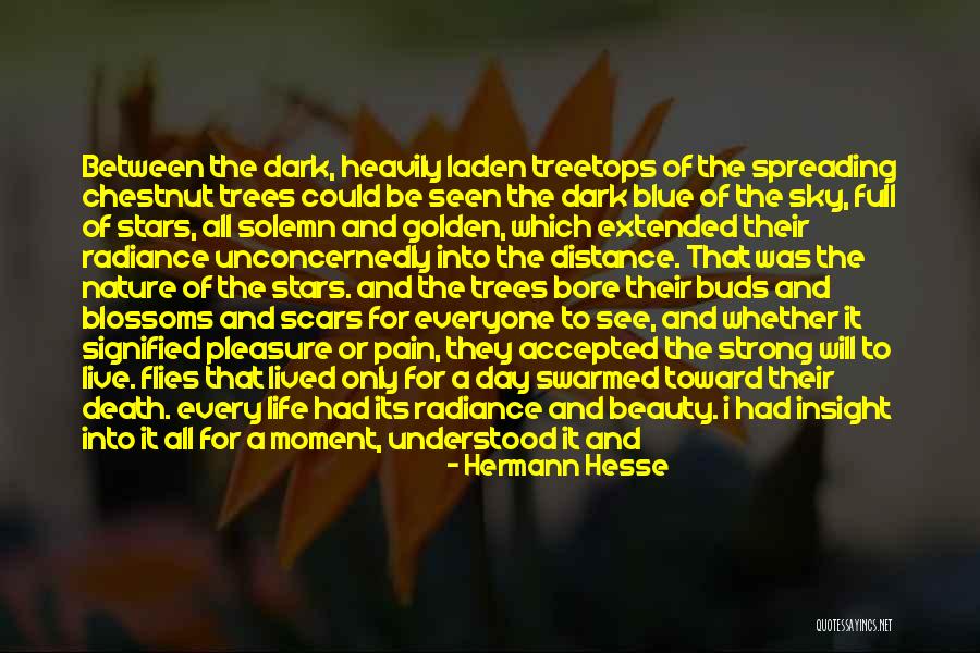 Heavily Quotes By Hermann Hesse