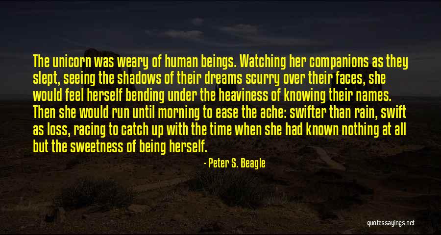 Heaviness Of Time Quotes By Peter S. Beagle Heaviness Of Time Quotes By Peter S. Beagle