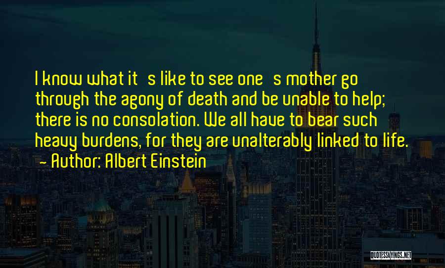 Heavy Burdens Quotes By Albert Einstein