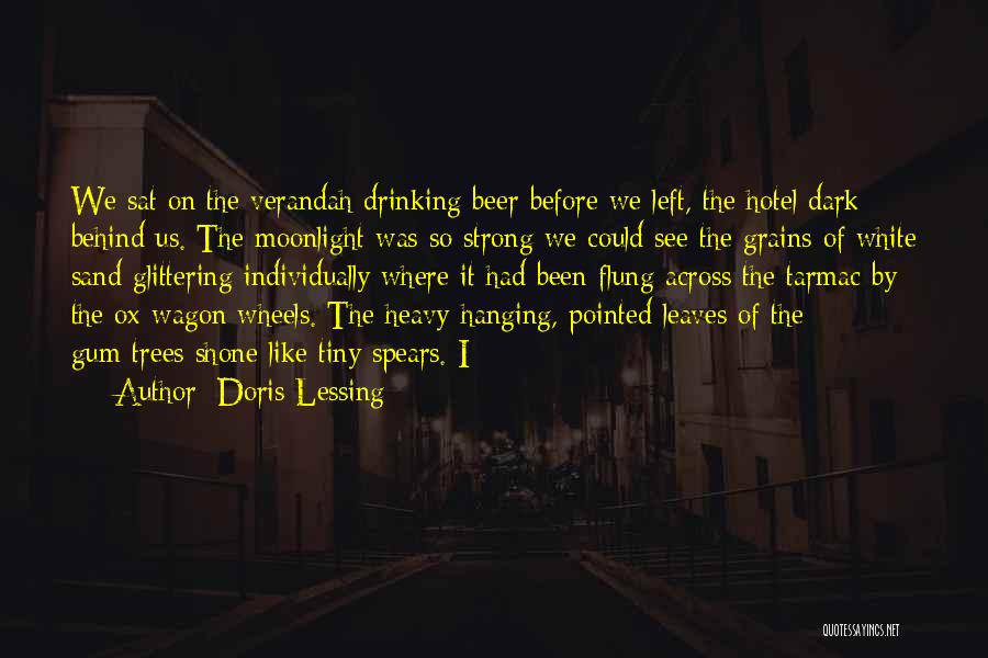 Heavy Drinking Quotes By Doris Lessing