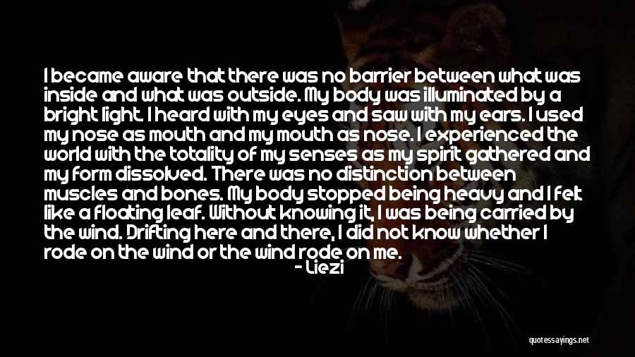 Heavy Eyes Quotes By Liezi