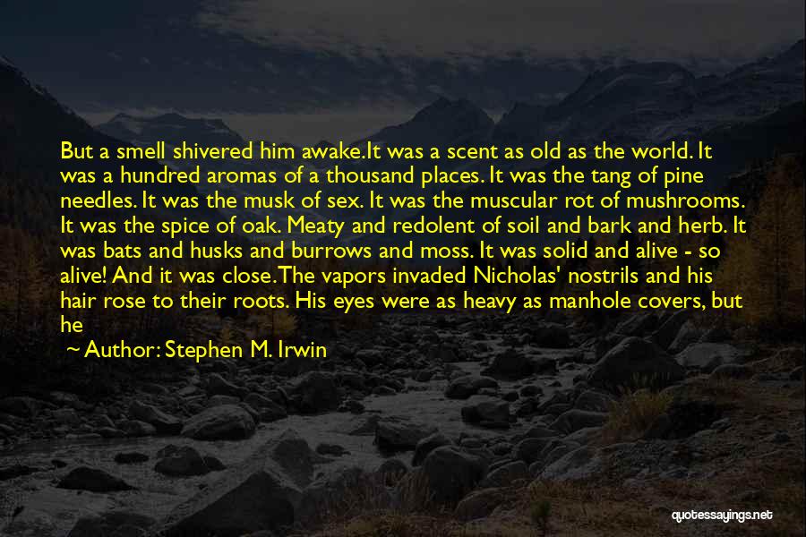 Heavy Eyes Quotes By Stephen M. Irwin