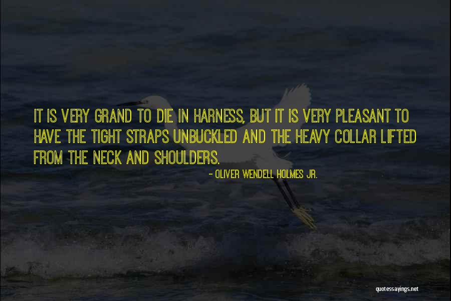 Heavy Shoulders Quotes By Oliver Wendell Holmes Jr. Heavy Shoulders Quotes By Oliver Wendell Holmes Jr.