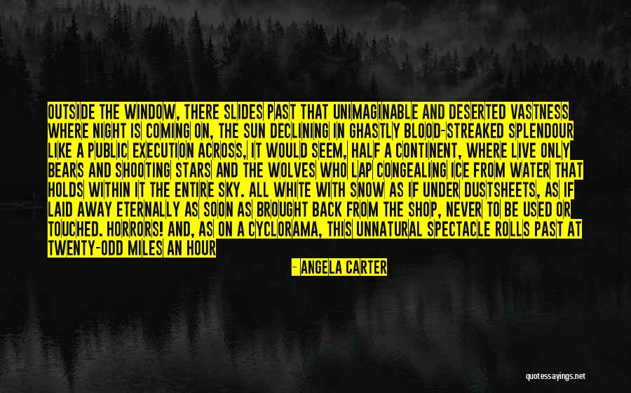 Heavy Snow Quotes By Angela Carter