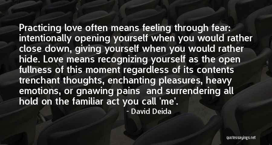 Heavy Thoughts Quotes By David Deida