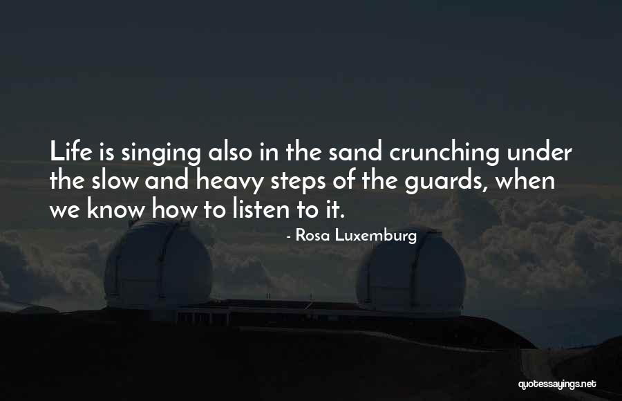 Heavy Thoughts Quotes By Rosa Luxemburg