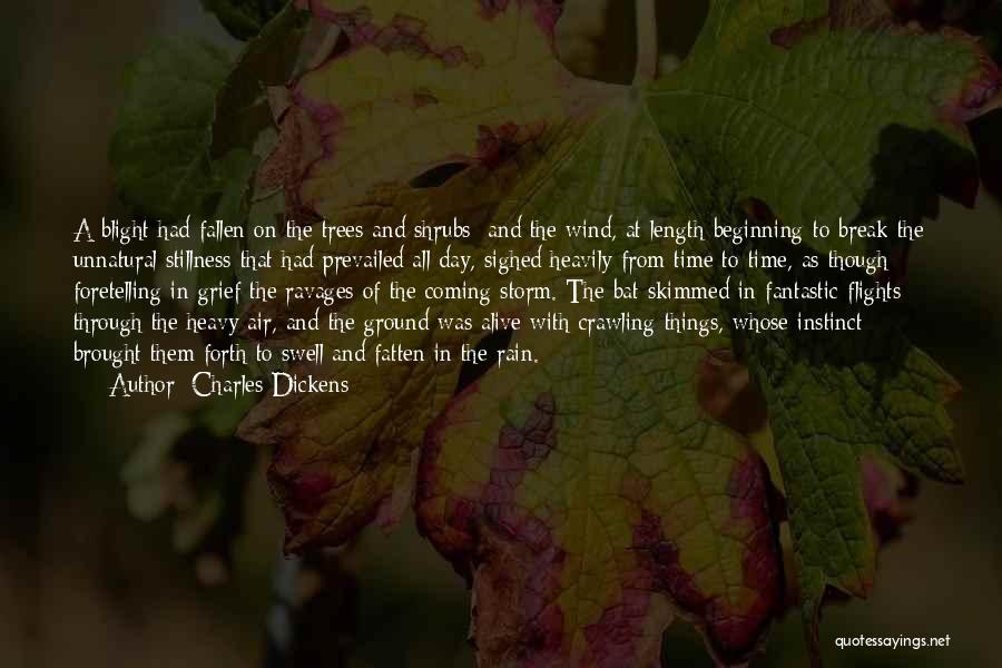 Heavy Wind Quotes By Charles Dickens