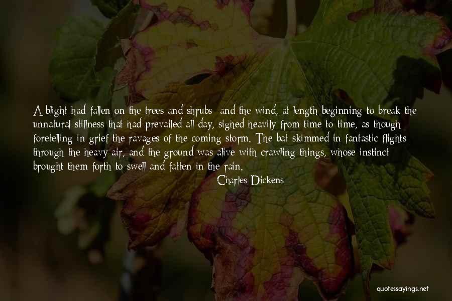 Heavy Wind Quotes By Charles Dickens