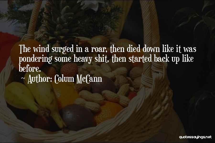 Heavy Wind Quotes By Colum McCann