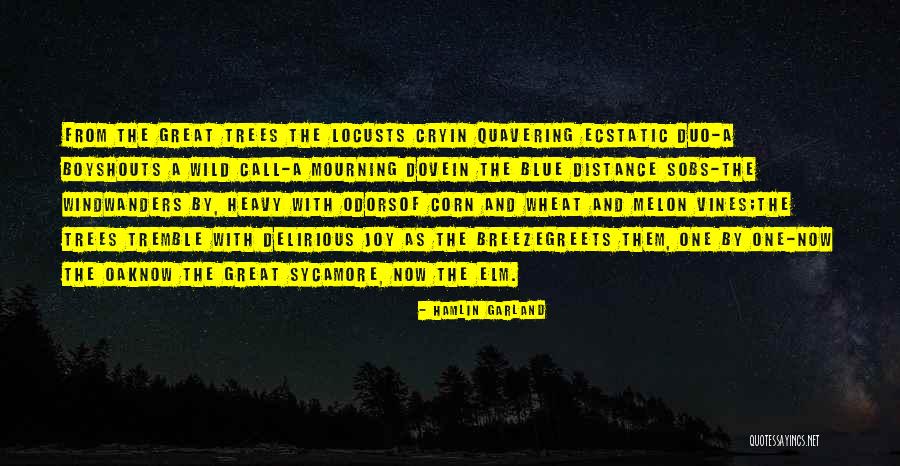 Heavy Wind Quotes By Hamlin Garland Heavy Wind Quotes By Hamlin Garland