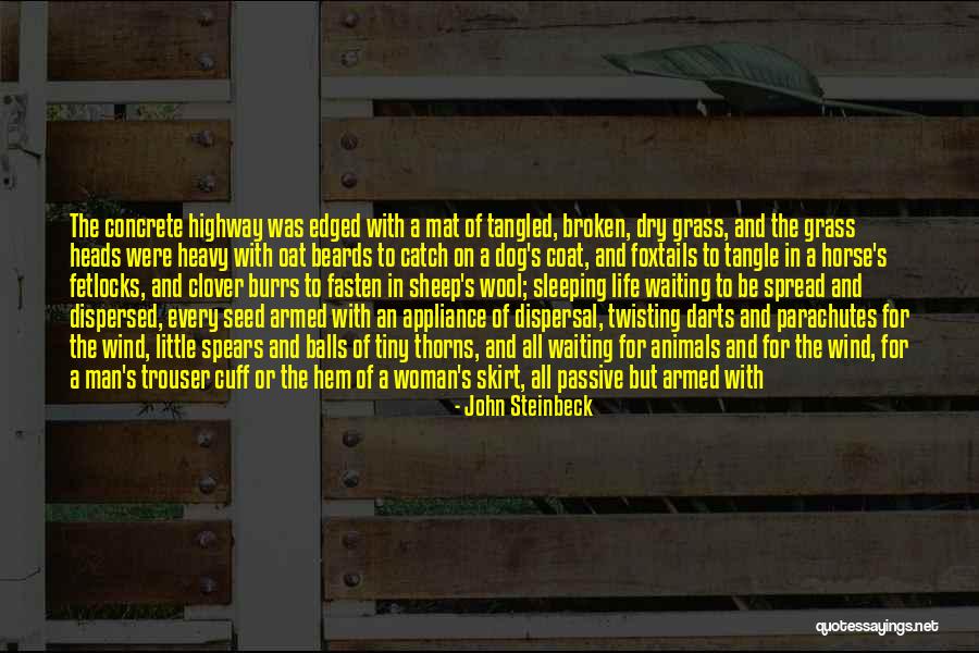 Heavy Wind Quotes By John Steinbeck Heavy Wind Quotes By John Steinbeck
