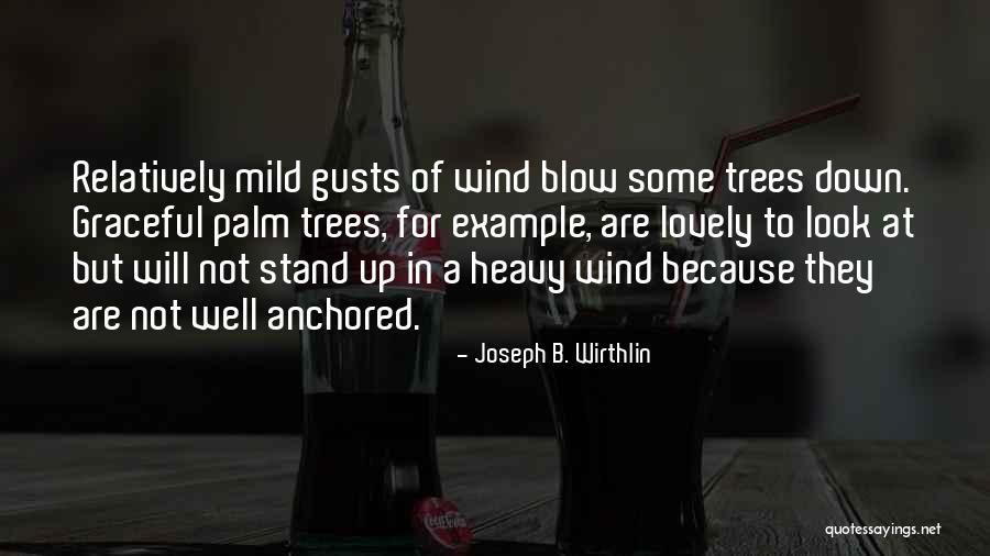 Heavy Wind Quotes By Joseph B. Wirthlin