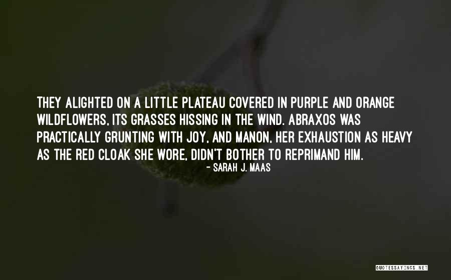 Heavy Wind Quotes By Sarah J. Maas Heavy Wind Quotes By Sarah J. Maas