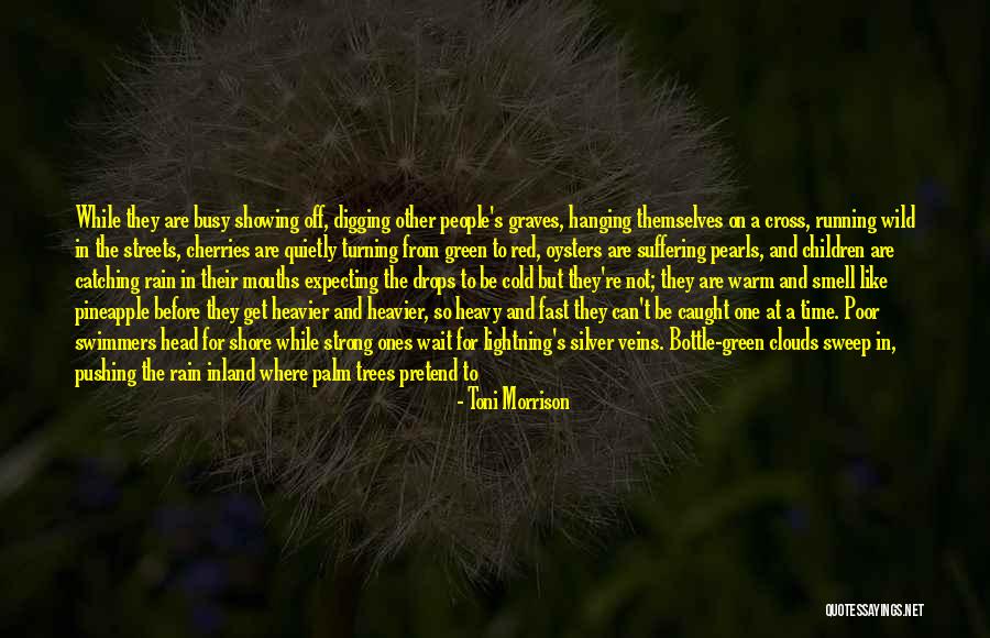 Heavy Wind Quotes By Toni Morrison