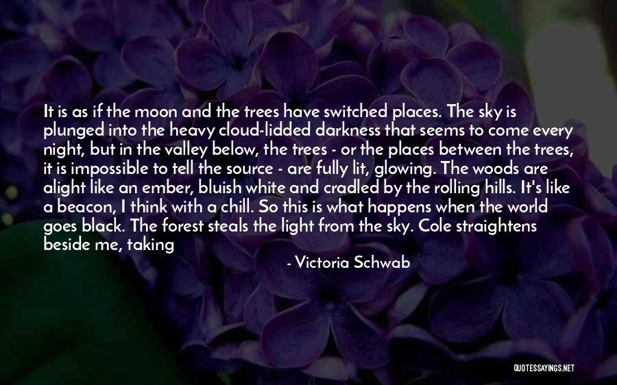 Heavy Wind Quotes By Victoria Schwab