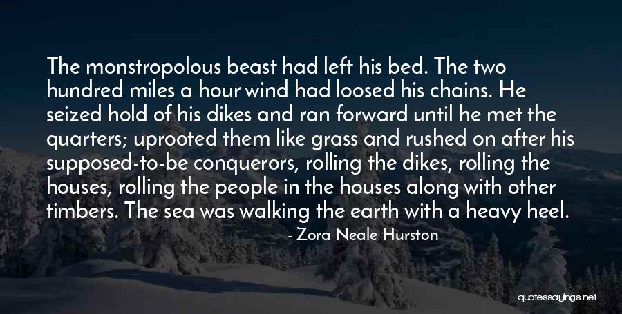 Heavy Wind Quotes By Zora Neale Hurston