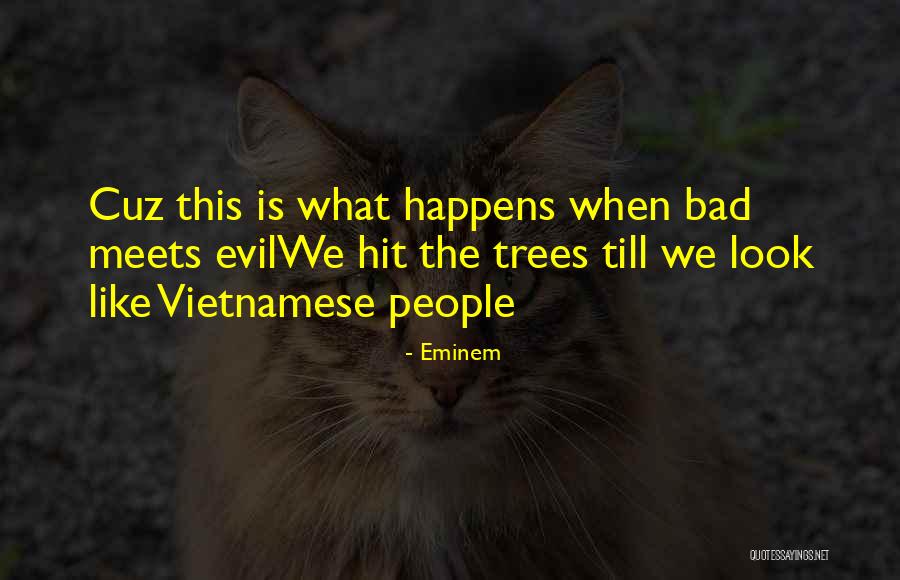 Hebberd Quotes By Eminem Hebberd Quotes By Eminem