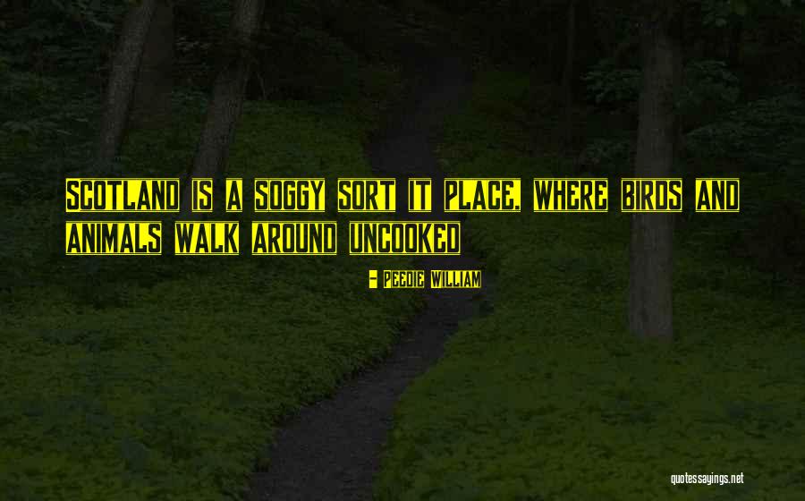 Hebbian Plasticity Quotes By Peedie William Hebbian Plasticity Quotes By Peedie William